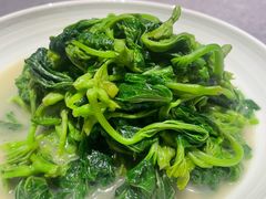 -新长福(世嘉店)