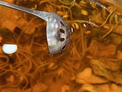 -潇湘码头·鲜湘菜(清河店)