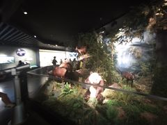 -四川大学博物馆