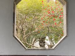 -惠山古镇·寄畅园