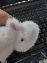 -IMON·HANSA潮玩玩偶毛绒玩具(通州万象汇店)