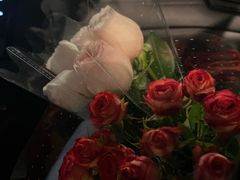 -循礼门鲜花花市(武汉循礼门店)