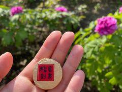 -龙华寺