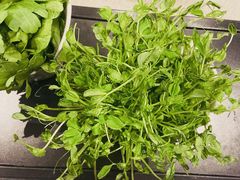 -浩爷羊蝎子火锅(望京店)