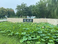 -石家庄市植物园