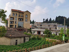 -军营村