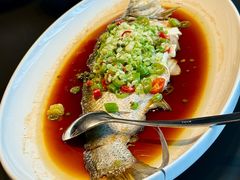 鸡油椒丝蒸白丝鱼-润苑·悦椿轩(徐汇万科中心一期店)