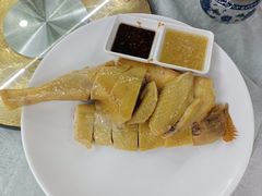 阳山大扇鸡-渔鸽皇酒楼(鸿大广场店)