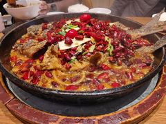 -老板恋上鱼(恒隆广场店)