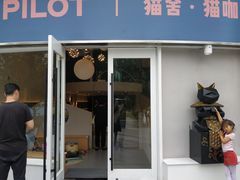 门面-飞行喵MR PILOT|猫舍·猫咖(静安大融城店)