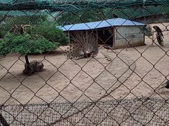 -祥源·阜阳生态乐园