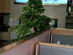 -马家斑.鲜鱼火锅(松湖万科店)