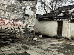 -丝绸小镇荻港古村
