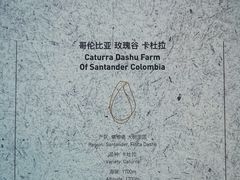 -Line 咖啡(石厦花园店)