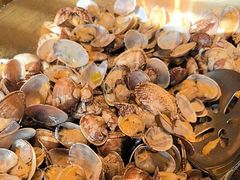 -浩运·海鲜青岛菜·海胆水饺(石老人店)