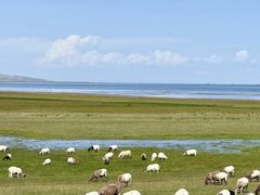 -青海湖国家重点风景名胜区