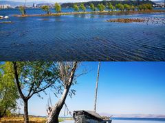 -洱海月湿地公园