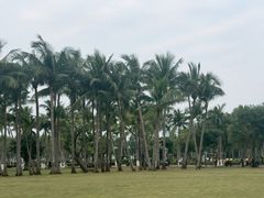 -万绿园