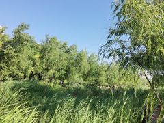 -小绿谷公园