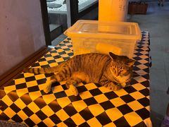 -喝丢一只鞋海鲜烧烤·海肠捞饭(东关街店)