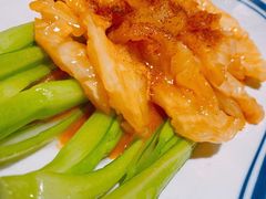 鲍汁虾籽焖特级花胶-粤食堂(天津和悦汇店)