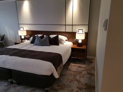 -新加坡乌节希尔顿酒店 (SG Clean)