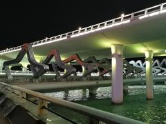 -演武大桥观景平台