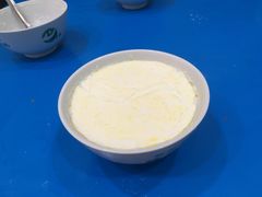 -德禄酸奶(莫家街店)