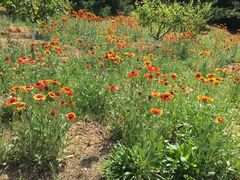 -永定河休闲森林公园