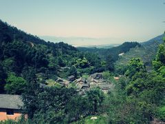 -杨家堂村