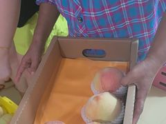 -老袁家蜜桃农场·阳山水蜜桃