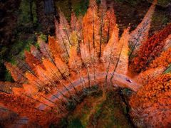 -沙县小吃文化城