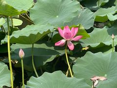 -南翠屏公园