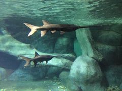 -福州罗源湾海洋世界旅游区