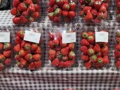 -鲜果壹号(苏站路店)