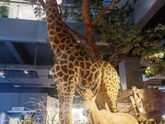 -扬州科技馆