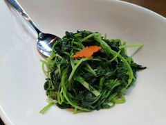 清炒菜心-梧桐