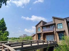 -泗洪洪泽湖湿地景区