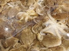 -山海经·海边人家 海鲜新青岛菜(扬州路店)