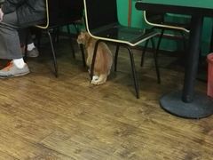 大堂-盛天毛血旺非遗美食(观音桥店)