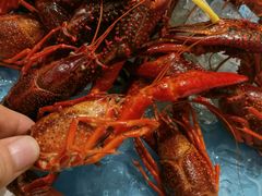 -九鹿台(恒都广场店)