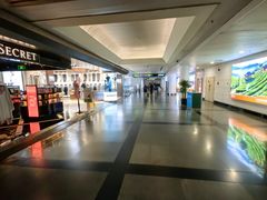 -厦门高崎国际机场-T3航站楼