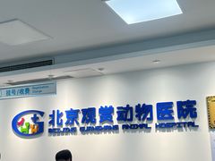 -北京观赏动物医院·24小时大型综合·猫专科·异宠专科