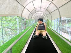 -藏龙百瀑风景区