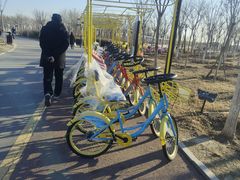 -天津东丽湖风景区