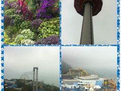 -香港海洋公园