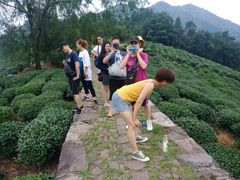 -西湖风景区十里琅珰-五云山