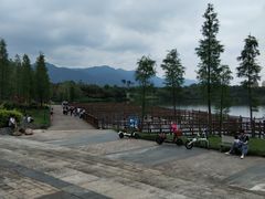 -飞来湖湿地公园