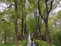 -溱湖国家湿地公园