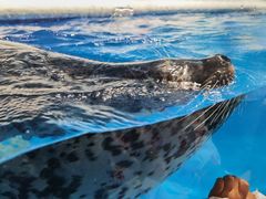 -成都浩海立方海洋公园